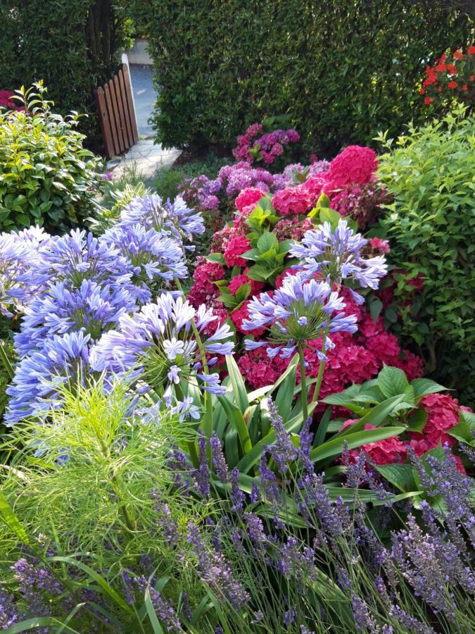 Les Puits Bessin Normandie Sommervieu Екстер'єр фото